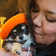 Vadim participe au concours pour gagner de l'argent avec cette photo : person, dog, puppy, hat, orange_hat, close_up, indoor, affection, cuddle, warm_lighting, black_clothing, bracelet, cute, pet, head, face, hand, fur, small_dog, love