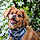 Hudson