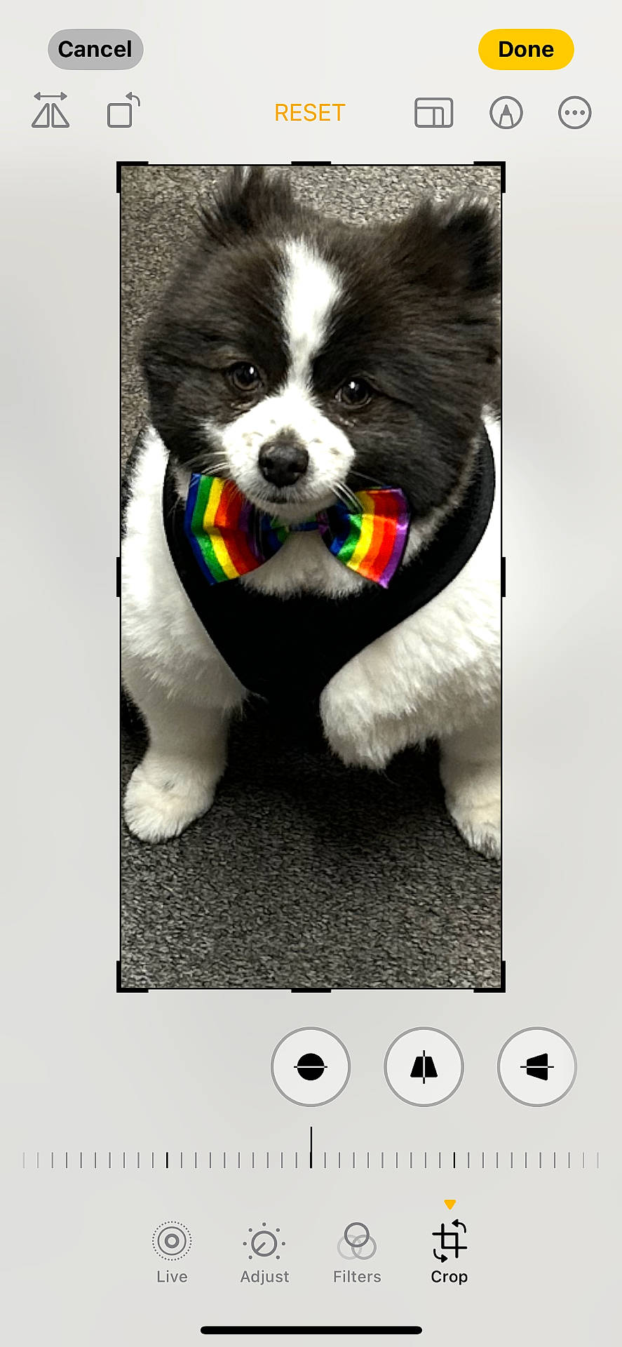 Oreo
