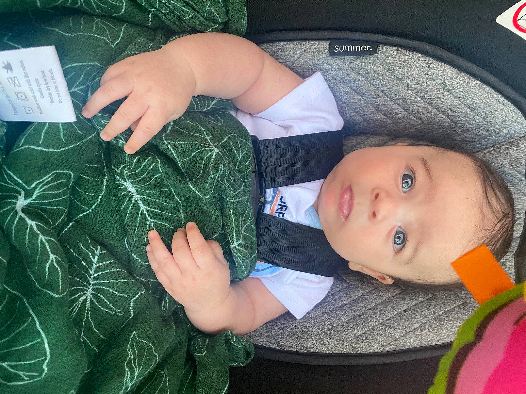Cannon is registered to the contest to win money with this photo: baby, baby_products, baby_toddler_clothing, chalk, child, fashion_accessory, finger, grass, green, hand, hat, leaf, nail, pattern, person, product, textile, thumb, toddler, tree