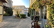Ulysse a rejoint le concours — aidez-le/la à gagner de superbes lots ! animal, architecture, building, canine, city, dog, jar, neighborhood, path, pet, plant, planter, pottedplant, pottery, road, street, tree, urban, vase, walkway