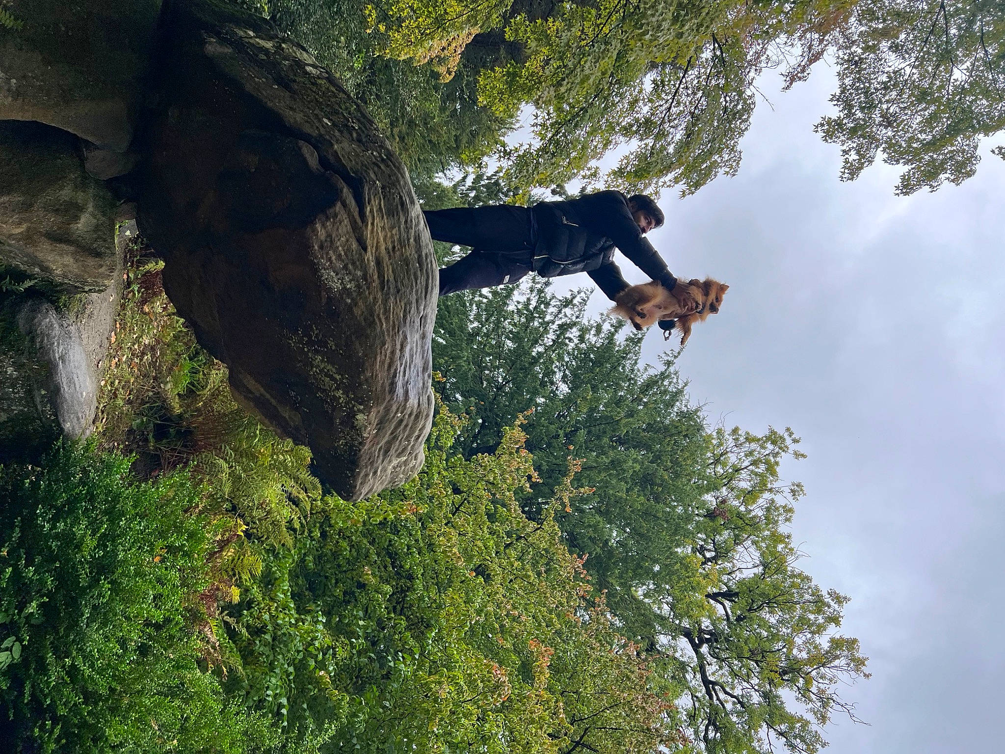 Panda joined the competition — help win amazing prizes! adventure, bedrock, branch, cloud, escarpment, extreme_sport, forest, grass, jungle, landscape, leisure, organism, people_in_nature, plant, recreation, rock, sky, temperate_broadleaf_and_mixed_forest, tree, trunk