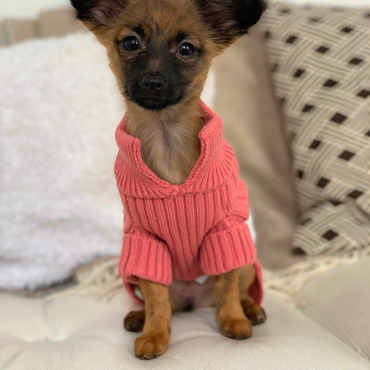 Mila