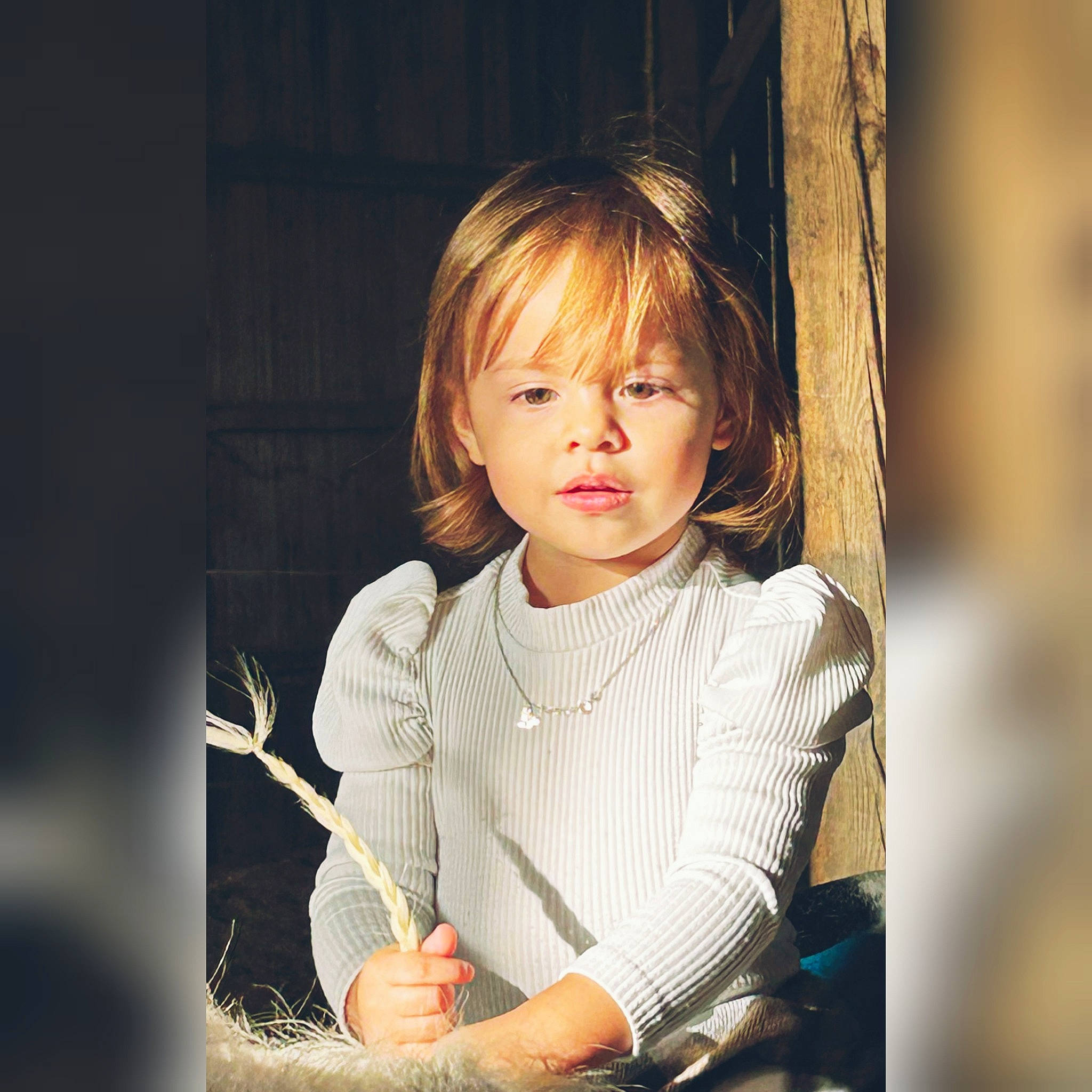Luna Kamila participe au concours pour gagner de l'argent avec cette photo : bangs, blond, brown_hair, cheek, child, flash_photography, fun, gesture, grass, happy, iris, lip, people_in_nature, person, portrait_photography, sitting, sleeve, tints_and_shades, toddler, window