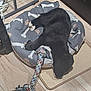puppy, dog, sleeping, dog_bed, toy, rope_toy, black_dog, indoor, wooden_floor, pet, cozy, resting, animal, cute, fur, paw, home, pet_bed, relax, domestic