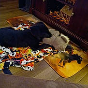 Duke joined the competition — help win amazing prizes! dog, toy, blanket, animal_print, wooden_floor, cabinet, figurines, deer, indoor, playful, black_dog, mat, furniture, decor, pet, cozy, floor, soft_toy, colorful, house