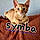 Symba