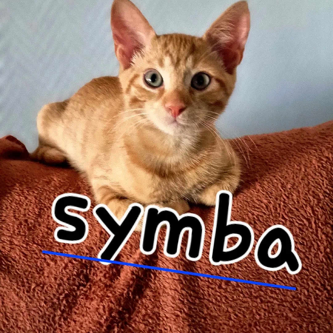 Symba