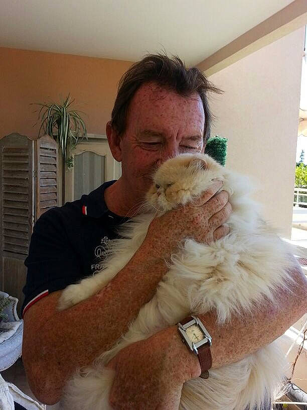 Peluche participe au concours pour gagner de l'argent avec cette photo : beard, canidae, carnivore, christmas, companion_dog, facial_hair, fawn, felidae, fur, houseplant, lap, moustache, plant, room, sitting, sporting_group, stuffed_toy, toy, watch, wool