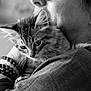 Charly a rejoint le concours — aidez-le/la à gagner de superbes lots ! black_and_white, kitten, cat, person, face, earring, bracelets, close_up, portrait, affection, cuddle, fur, whiskers, soft_light, indoor, love, pet, animal, cozy, comfort
