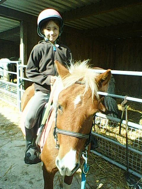 Marine a rejoint le concours — aidez-le/la à gagner de superbes lots ! animal_sports, bit, bridle, english_pleasure, english_riding, equestrian_helmet, equestrian_sport, equestrianism, eventing, halter, helmet, horse, horse_supplies, horse_tack, joy, mane, pack_animal, person, recreation, rein