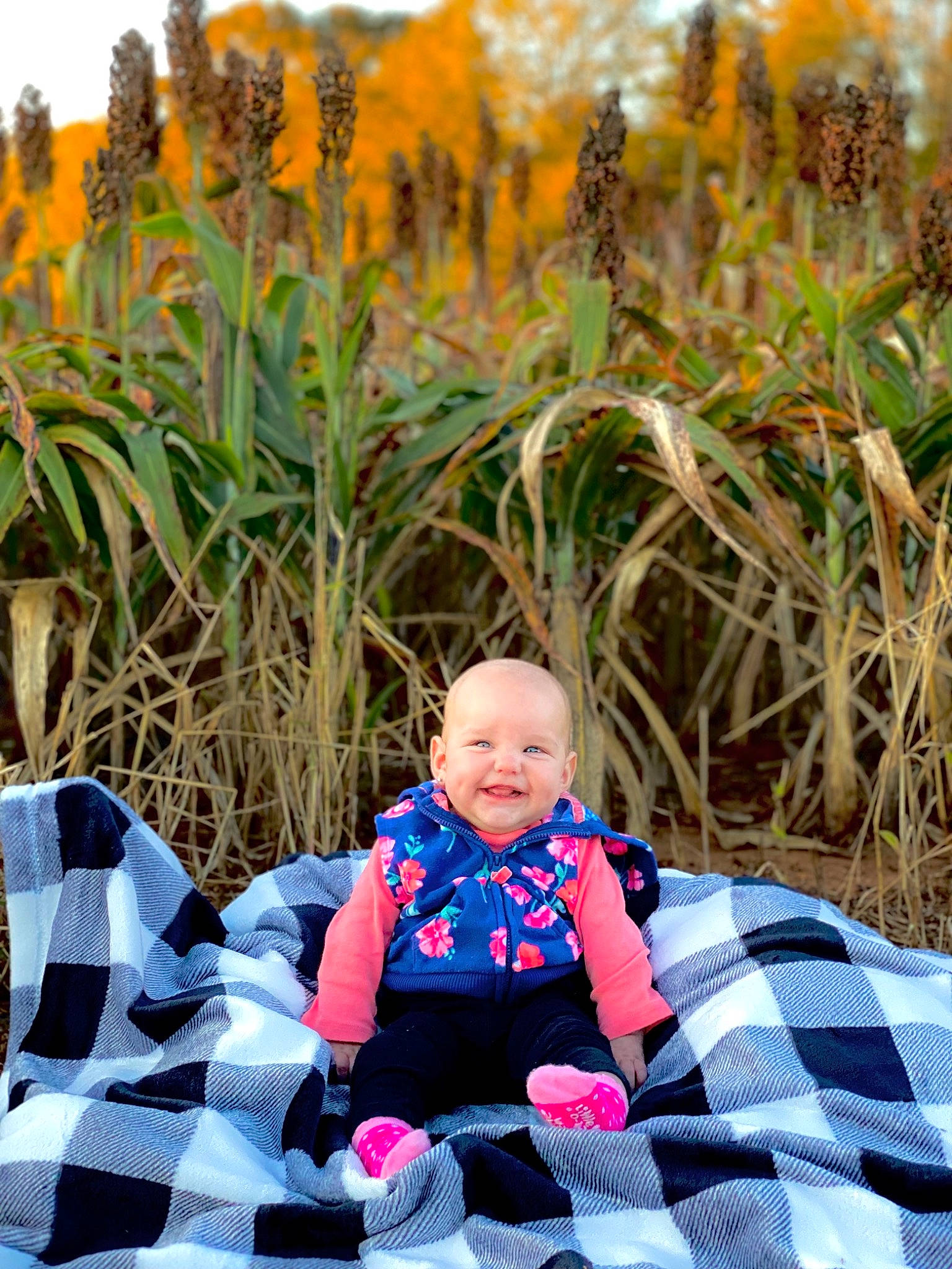 Bristol joined the competition — help win amazing prizes! agriculture, baby, baby_toddler_clothing, botany, electric_blue, eye, flower, fun, grass, grass_family, happy, head, joy, leaf, leisure, outerwear, people_in_nature, person, photograph, plant