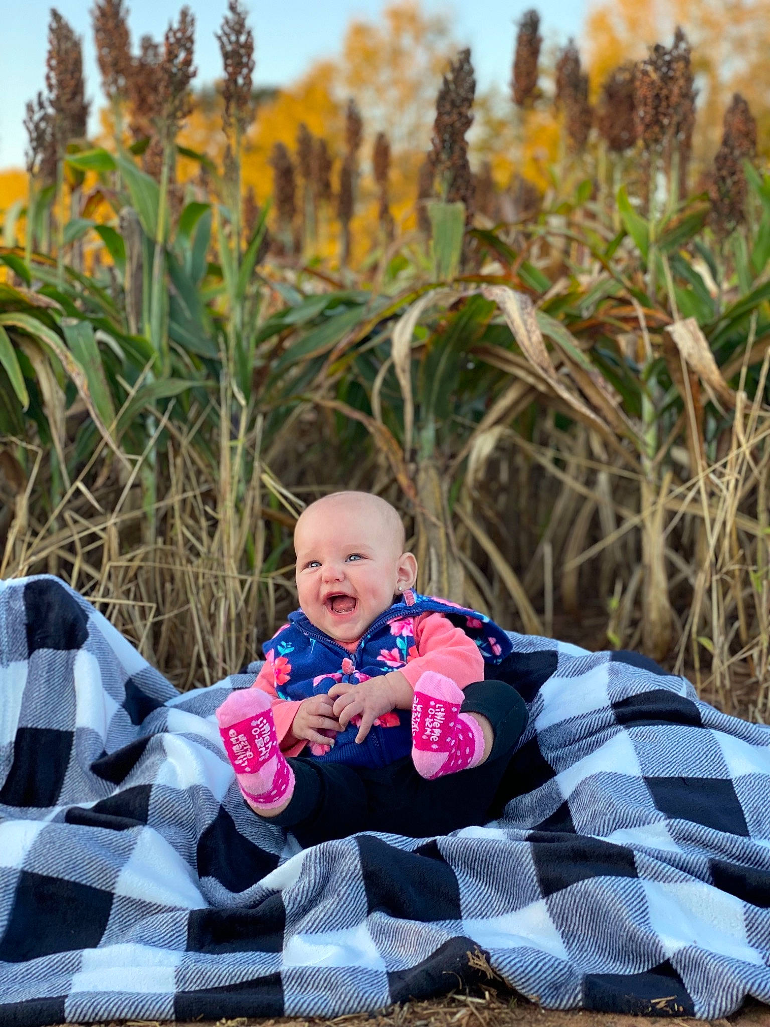 Bristol joined the competition — help win amazing prizes! fun, grass, grass_family, grassland, happy, landscape, leaf, leisure, meadow, people_in_nature, person, photograph, plant, prairie, sky, smile, spring, sunlight, toddler, tree