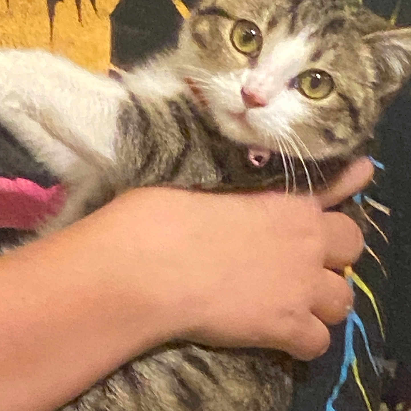 Penelope