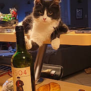 Cali a rejoint le concours — aidez-le/la à gagner de superbes lots ! cat, black_and_white_cat, table, wine_bottle, bread, knife, cork, indoor, living_room, curtains, furniture, glass_bowl, plastic_wrap, wooden_surface, pet, domestic_animal, loaf_of_bread, kitchen_utensil, relaxation, cozy