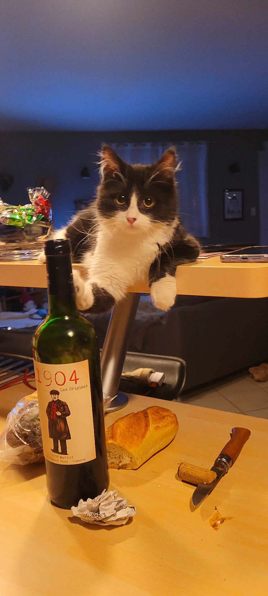 Cali a rejoint le concours — aidez-le/la à gagner de superbes lots ! cat, black_and_white_cat, table, wine_bottle, bread, knife, cork, indoor, living_room, curtains, furniture, glass_bowl, plastic_wrap, wooden_surface, pet, domestic_animal, loaf_of_bread, kitchen_utensil, relaxation, cozy