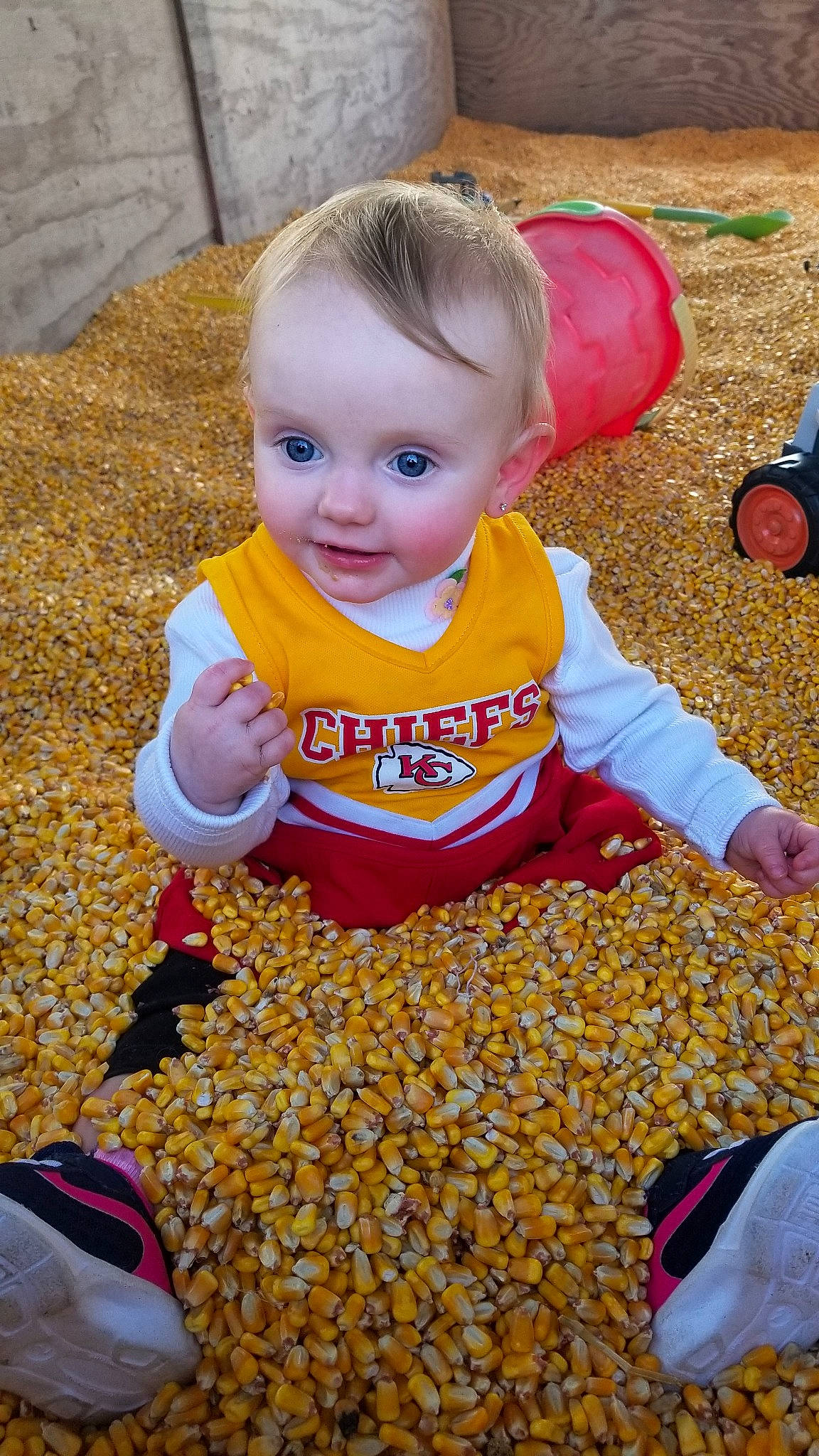 Abbigail is registered to the contest to win money with this photo: child, cuisine, food, fruit, legume, person, plant, play, toddler, vegetable, vegetarian_food