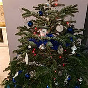 Luna a rejoint le concours — aidez-le/la à gagner de superbes lots ! christmas_tree, cat, white_cat, holiday, ornaments, decorations, blue_balls, silver_balls, tinsel, lights, indoor, festive, pine_tree, greenery, home, playful, animal, holiday_decor, christmas_lights, peeking