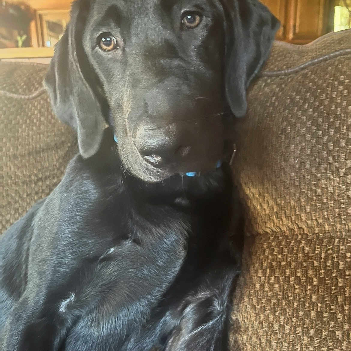 Kash