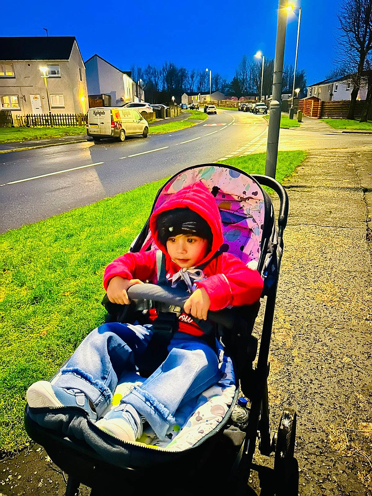 Sirjan is registered to the contest to win money with this photo: asphalt, baby, baby_carriage, baby_products, grass, headwear, leisure, light, morning, people_in_nature, person, plant, recreation, sky, street_light, tints_and_shades, tire, toddler, travel, tree