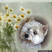 Plume participe au concours pour gagner de l'argent avec cette photo :