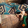 dog, sleeping, blanket, couch, plush_toy, indoor, cozy, resting, pet, animal, comfort, furniture, relaxation, snuggling, home, canine, toy, brown, white, black