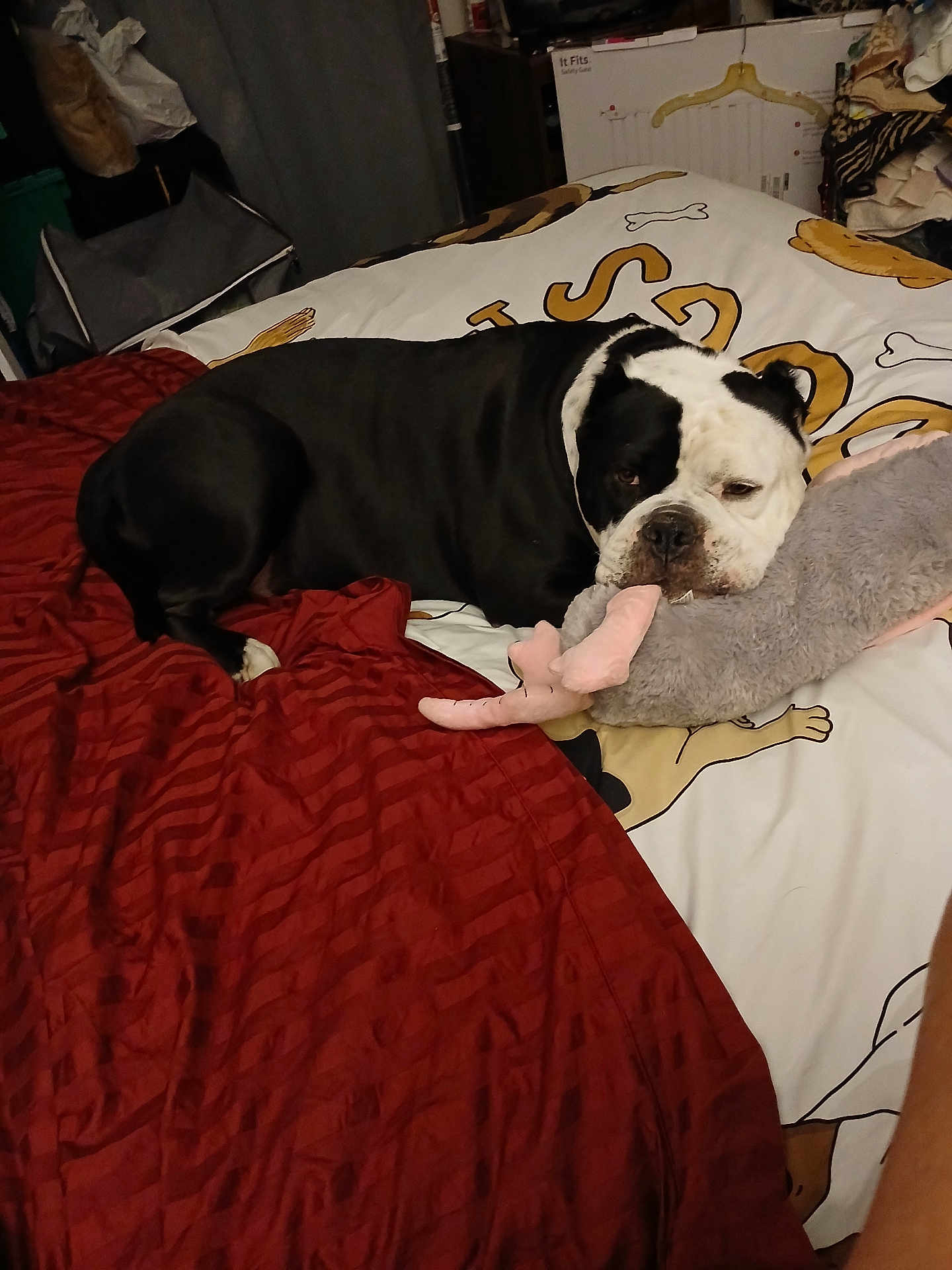 Louie