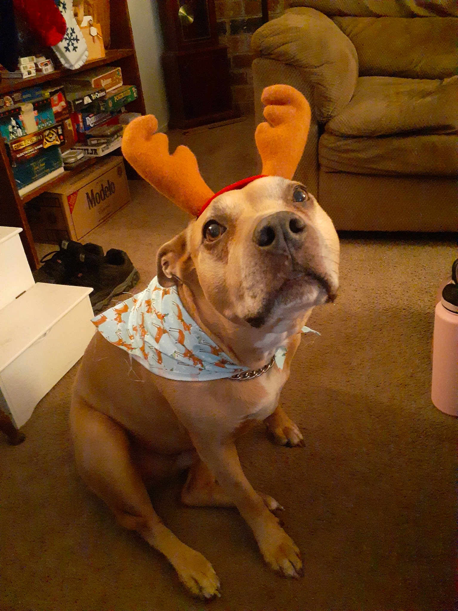 Nala