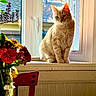 cat, orange_tabby, windowsill, window, sunlight, flowers, bouquet, glass_jar, chair, wooden_chair, indoor, home, pet, animal, plant, leaf, table, peaceful, sunny, contemplative