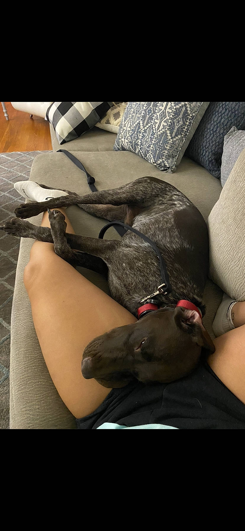 Reed joined the competition — help win amazing prizes! abdomen, arm, carmine, comfort, elbow, eyewear, finger, flesh, foot, grey, human_body, human_leg, joint, knee, nail, sitting, thigh, trunk, waist, wrist