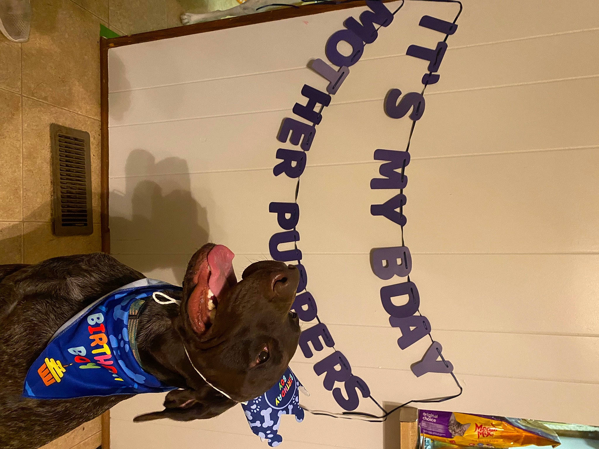 Reed is registered to the contest to win money with this photo: advertising, art, banner, competition_event, design, elbow, event, font, fun, games, graphics, leisure, logo, recreation, room, sports, sports_gear, sports_uniform, wall, world