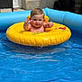 baby, child, inflatable_ring, pool, water, blue, yellow, outdoor, summer, cute, happy, floating, splash, toddler, swimming, play, fun, person, skin, sunlight