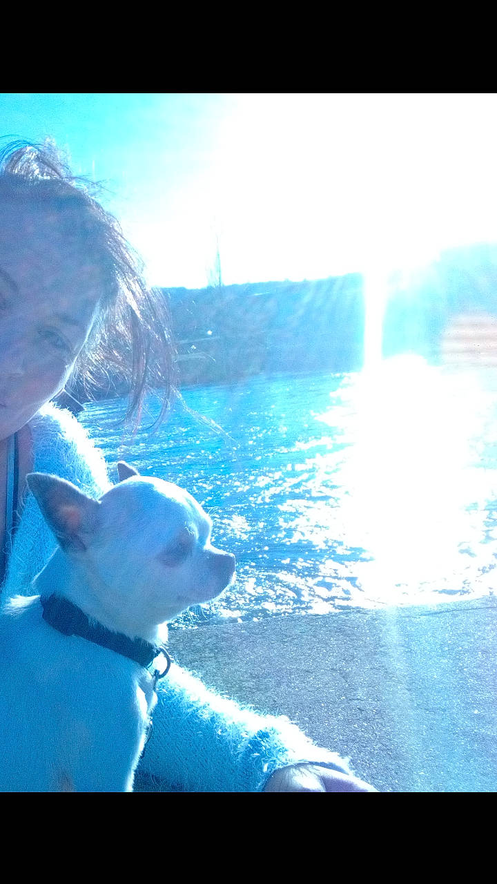 Pipo a rejoint le concours — aidez-le/la à gagner de superbes lots ! blue, cloud, photography, sky, sunlight, water