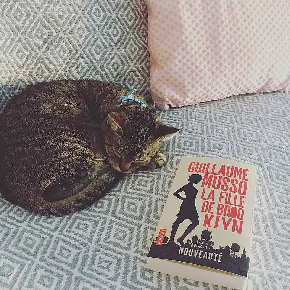 Poups a rejoint le concours — aidez-le/la à gagner de superbes lots ! asian, black_cat, carnivore, cat, domestic_short_haired_cat, ear, european_shorthair, felidae, fur, illustration, kitten, linens, nap, sleep, small_to_medium_sized_cats, t_shirt, tabby_cat, tail, textile, whiskers