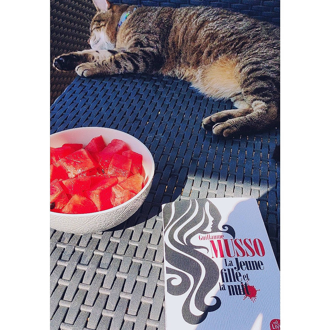 Poups participe au concours pour gagner de l'argent avec cette photo : carmine, cat, dish, dishware, domestic_short_haired_cat, felidae, fish, font, fruit, fur, ingredient, linens, pattern, paw, plate, recipe, small_to_medium_sized_cats, tableware, tail, whiskers