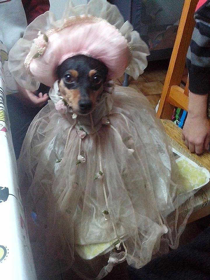 élice