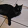 Minette