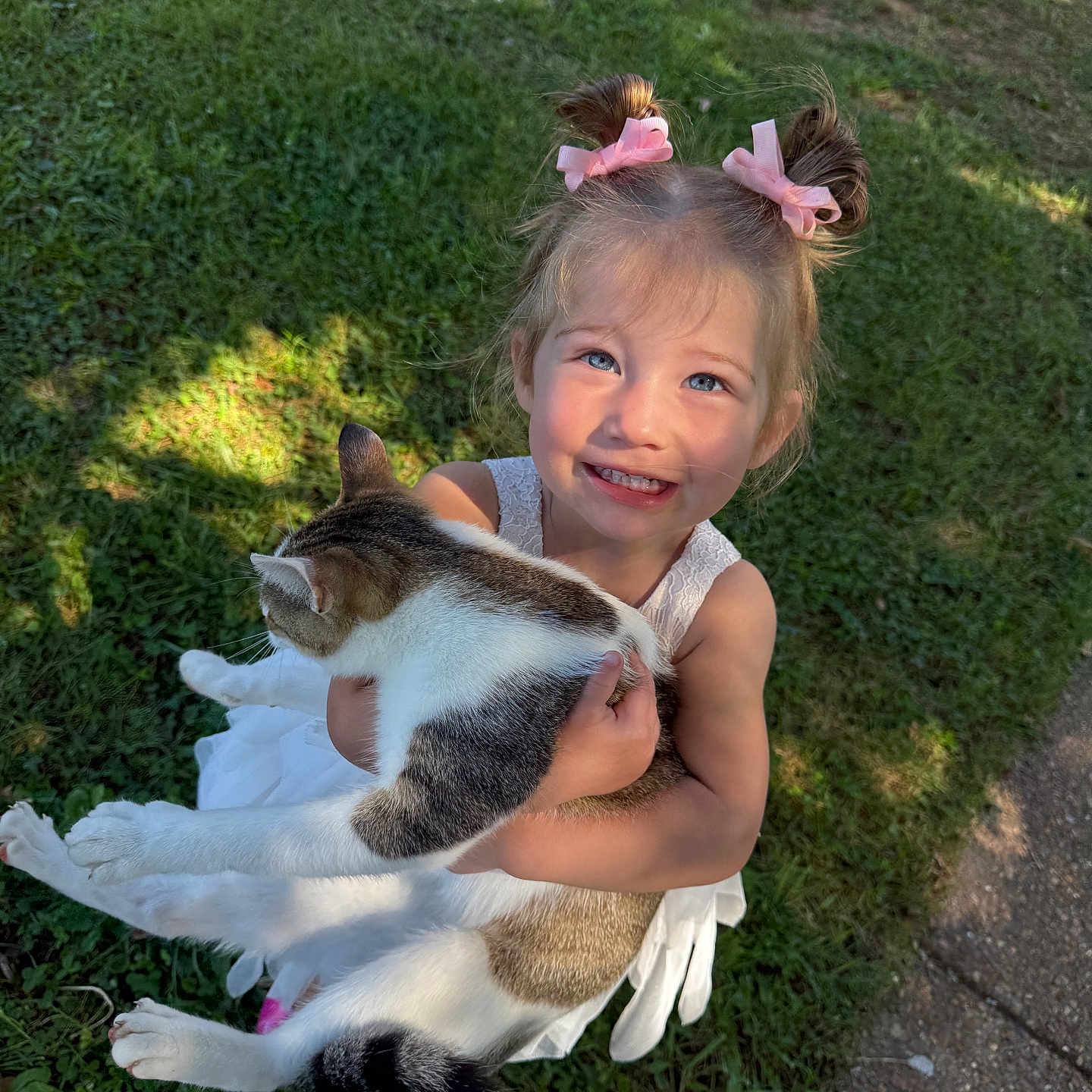 Raelynn Thrasher joined the competition — help win amazing prizes! animal, cat, child, cute, daylight, feline, girl, grass, happy, holding, nature, outdoor, person, pet, pink_bows, playful, smile, sunlight, white_dress, young