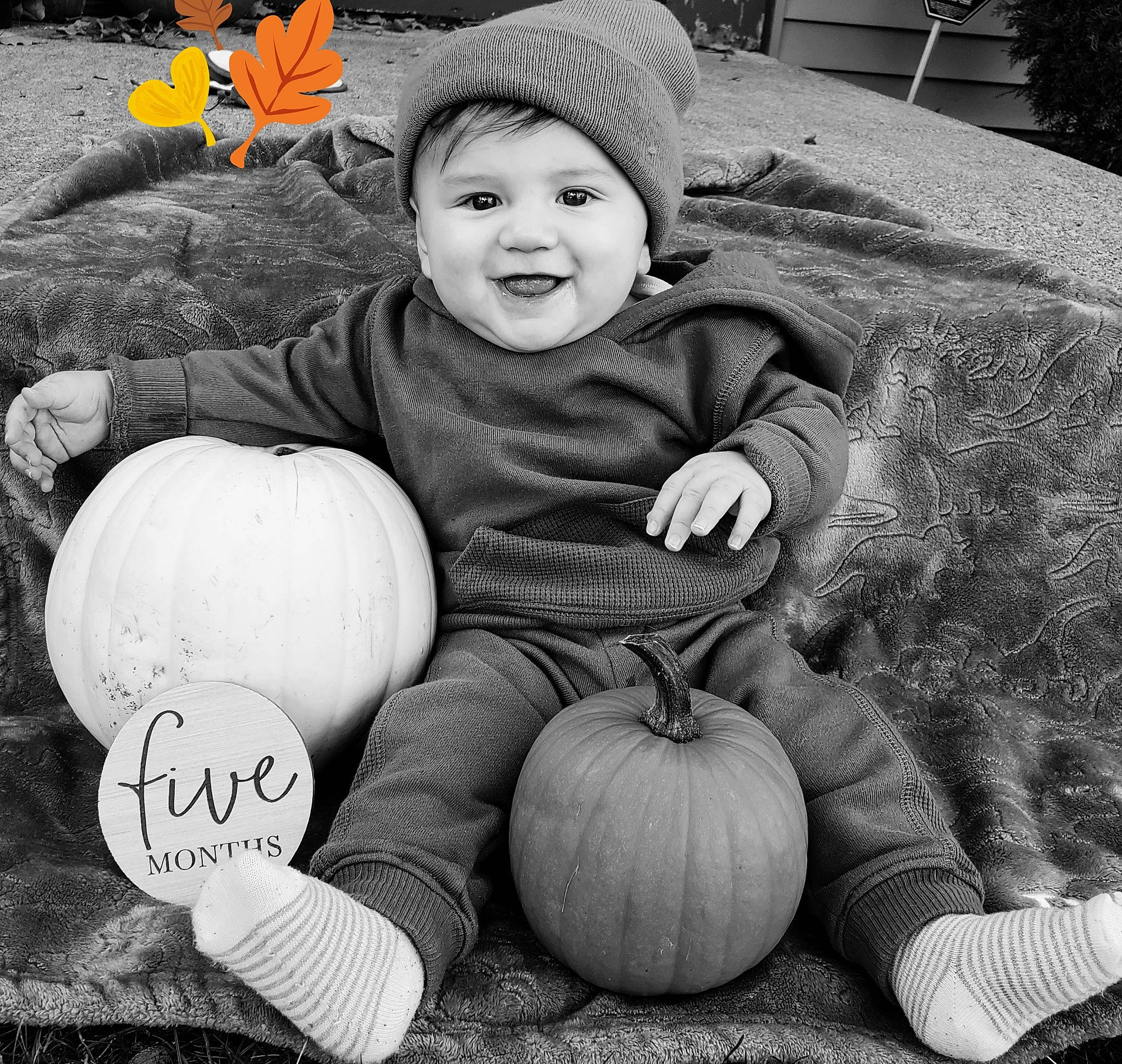Dante is registered to the contest to win money with this photo: black, calabaza, eye, face, facial_expression, grass, happy, headwear, joy, leaf, monochrome_photography, natural_foods, organ, people, person, photograph, plant, pumpkin, smile, squash