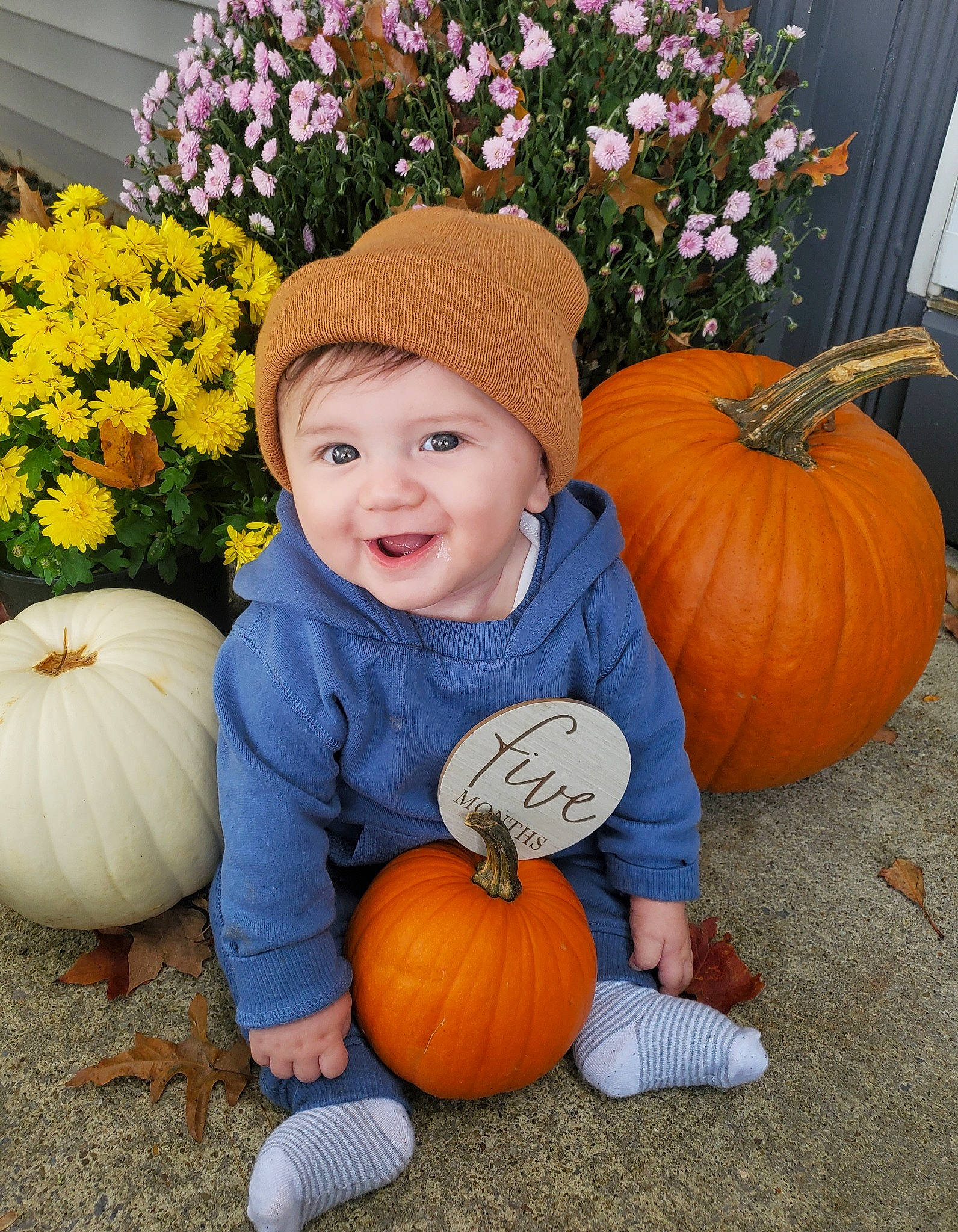 Dante is registered to the contest to win money with this photo: botany, calabaza, clothing, eye, face, facial_expression, flower, head, headwear, human_body, joy, leaf, nature, orange, organ, people_in_nature, person, photograph, plant, pumpkin