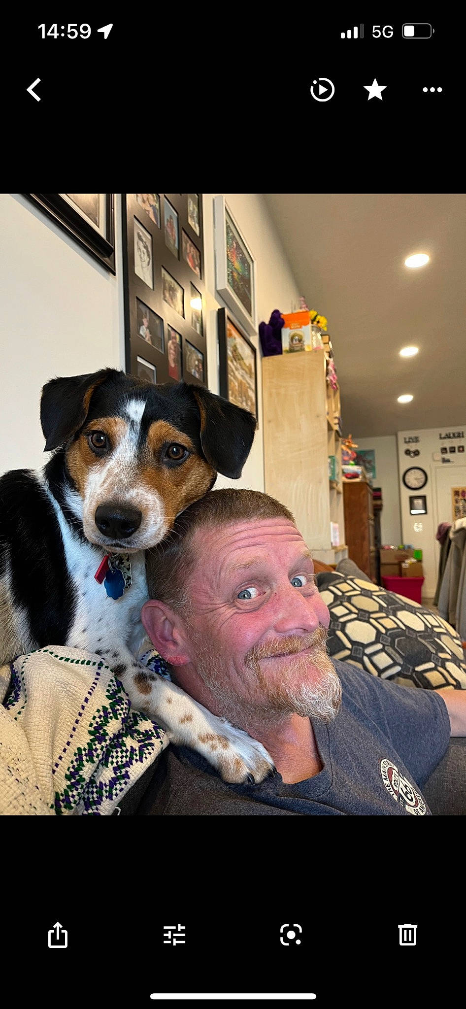 Cosmo joined the competition — help win amazing prizes! beard, canidae, carnivore, companion_dog, couch, dog, dog_breed, event, facial_hair, fur, moustache, picture_frame, sporting_group, t_shirt, working_animal