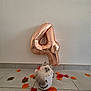 autumn_leaves, balloon, birthday, blue_eyes, bucket, cat, celebration, cute, decor, festive, floor, fluffy, gray_tail, holiday, indoor, kitten, number_4, pet, tile, white_cat