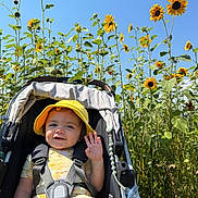Sage is registered to the contest to win money with this photo: toddler, child, stroller, yellow_hat, sunflower, outdoor, blue_sky, happy, smiling, nature, plants, greenery, sunlight, baby_clothes, summer, garden, waving, portrait, daytime, cute