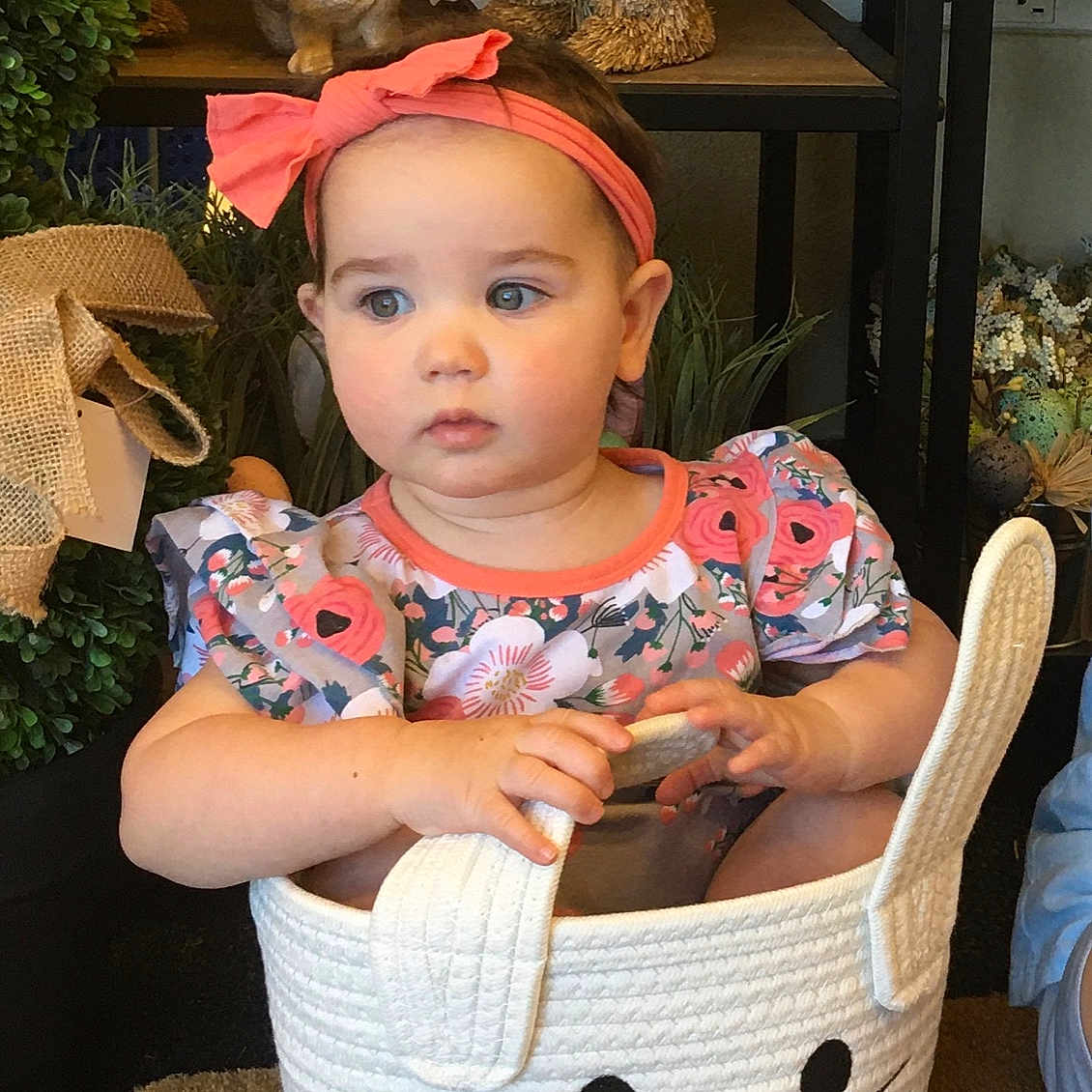 Hazel is registered to the contest to win money with this photo: accessories, animal, baby, basket, clothing, couch, electronics, face, furniture, glasses, hat, head, person, phone, photography, plant, portrait, pottedplant, t_shirt, toy