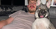 Rio participe au concours pour gagner de l'argent avec cette photo : dog, husky, pet, puppy, animal, canine, sitting, couch, person, man, portrait, indoors, living_room, blanket, framed_pictures, refrigerator, tongue_out, happy, fur, flash_photography