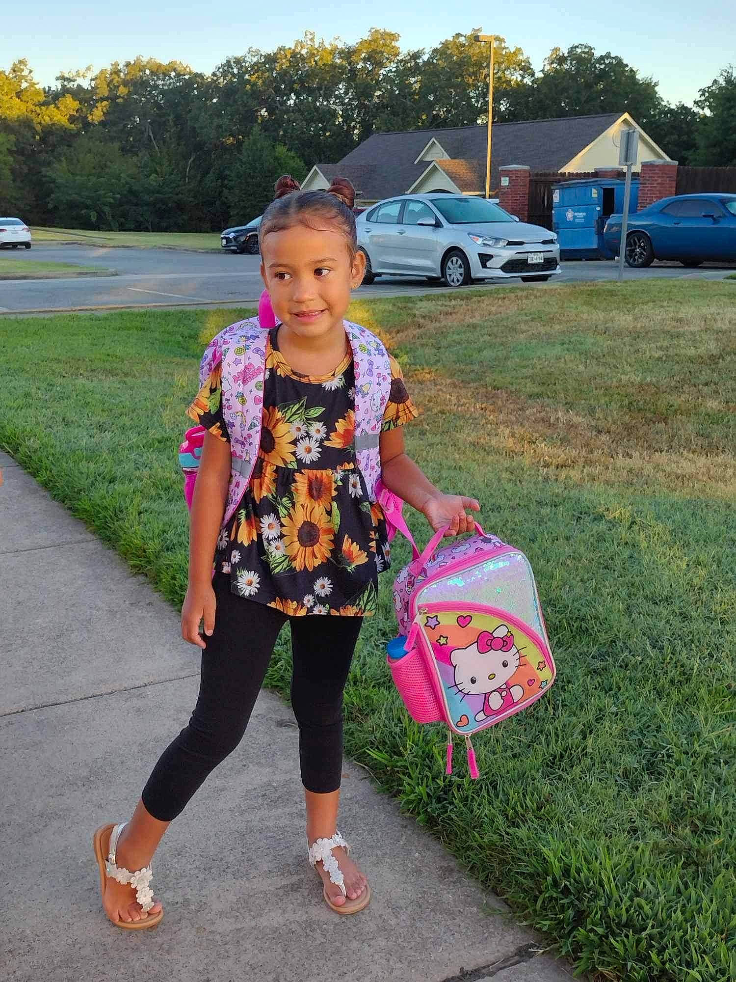 Ayleen is registered to the contest to win money with this photo: asphalt, bag, car, electric_blue, fun, grass, joy, knee, leisure, luggage_and_bags, magenta, person, pink, public_space, recreation, sky, summer, tire, tree, vehicle_door