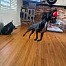 dog, black_dog, ball, indoor, living_room, wooden_floor, brick_fireplace, playful, motion_blur, pet, toy, window, cushion, clock, cabinet, plant, television, home, active, jumping