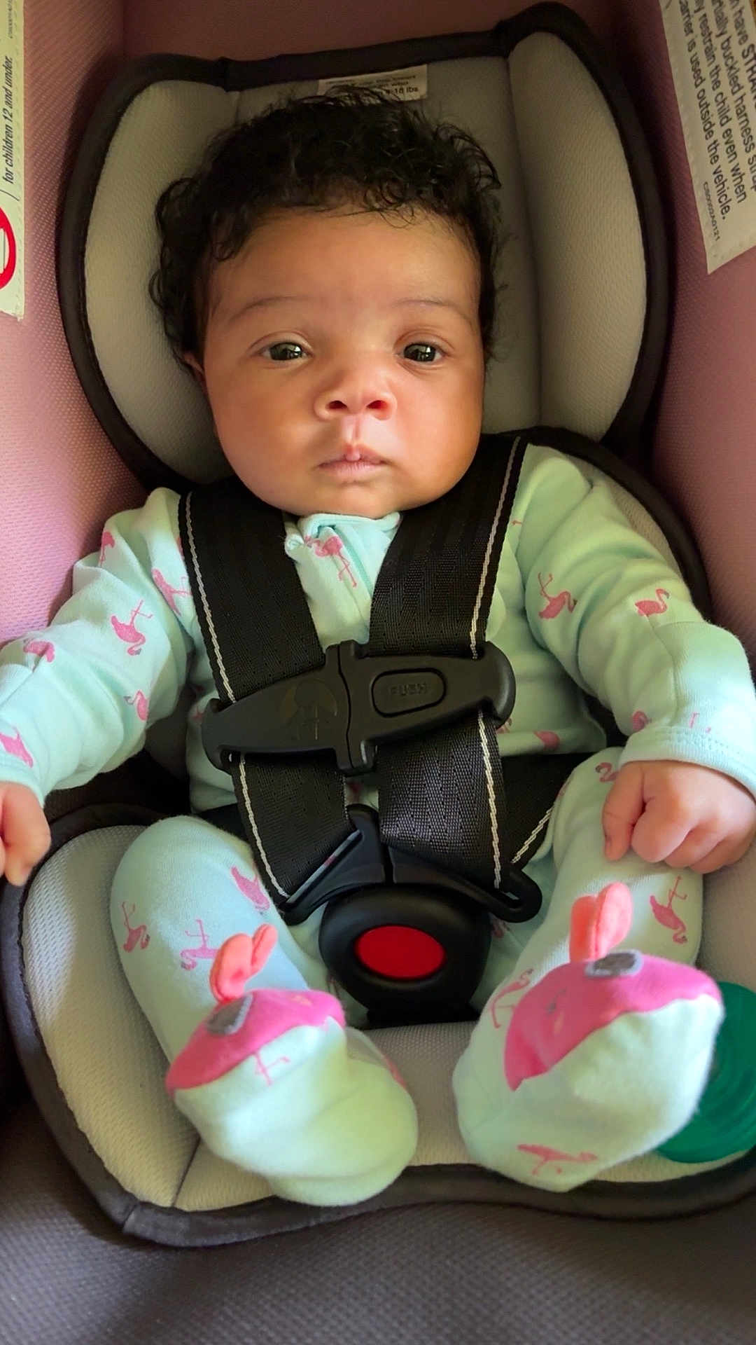 Aurora joined the competition — help win amazing prizes! baby, infant, car_seat, seat_belt, pajamas, flamingo_pattern, booties, child, cute, indoors, strapped_in, person, face, black_hair, serious_expression, sitting, soft_toys, car_safety, close_up, newborn