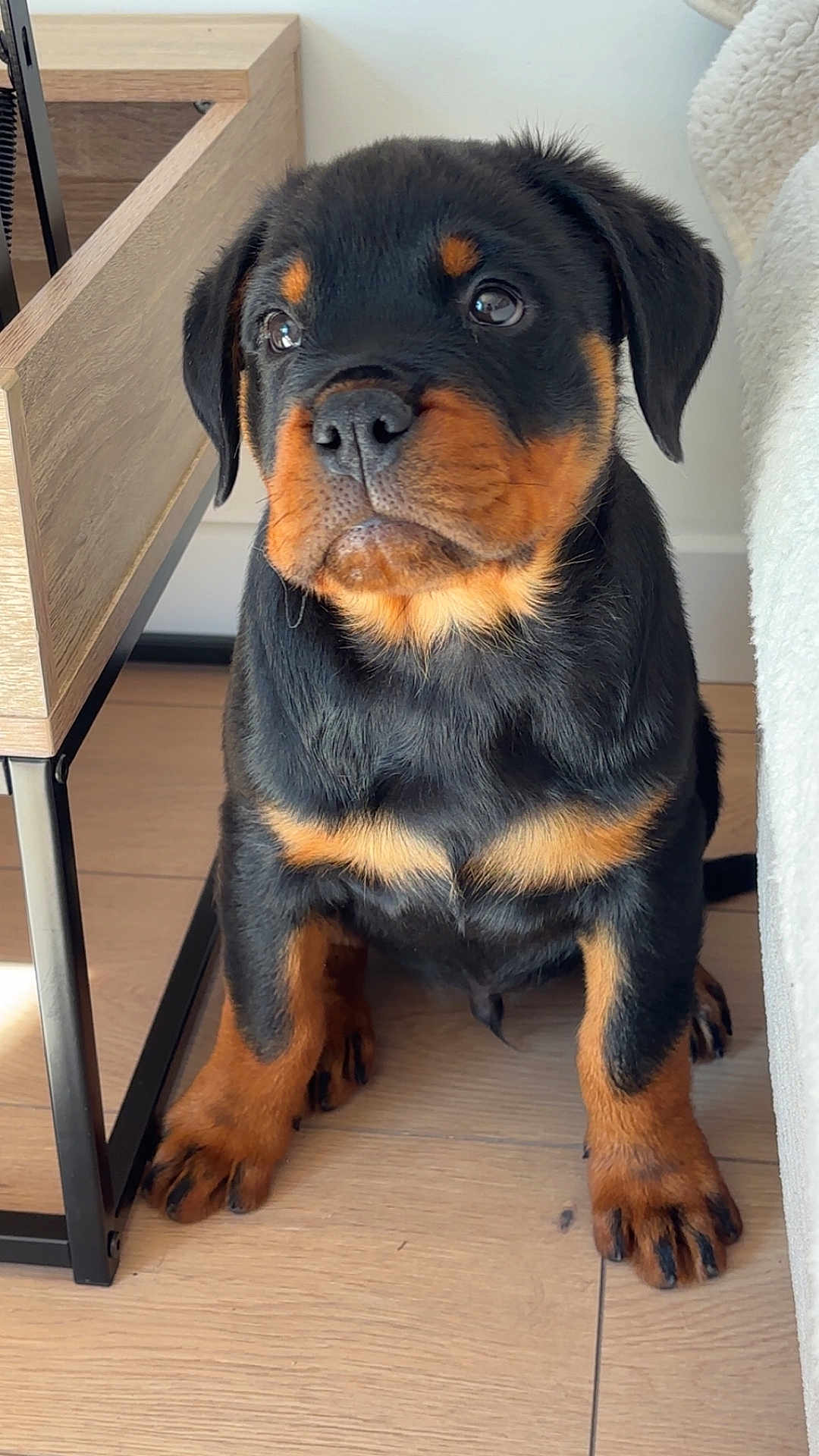 Ayko