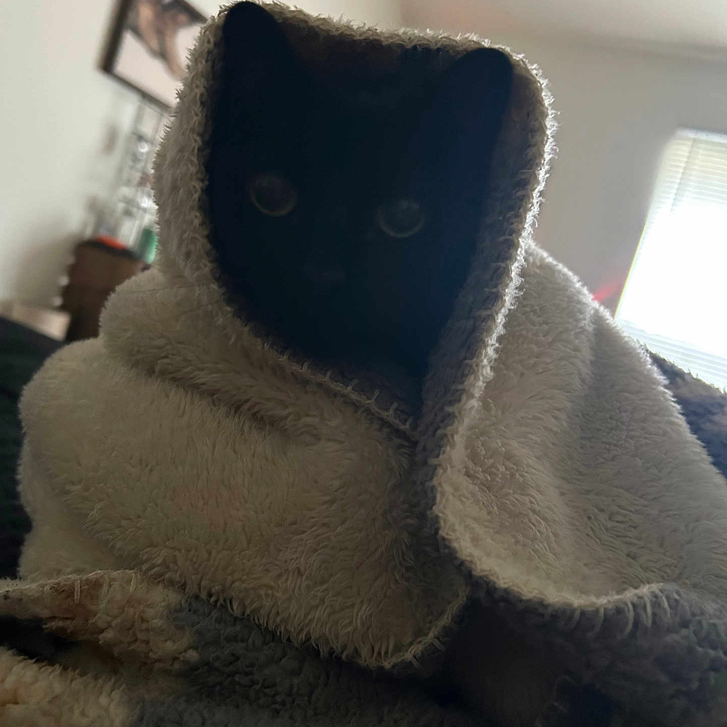 Mia